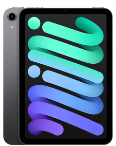 iPad mini Wi-Fi 256GB - Space Gray