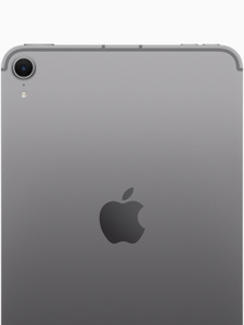 Buy iPad mini Wi‑Fi + Cellular 256GB - Space Grey - Apple (IN)