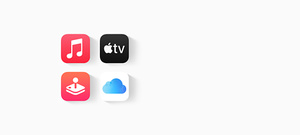 Apple Accessories for Apple Watch, iPhone, iPad, iPod and Mac Apple (IE)