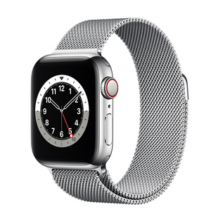 apple watch stainless steel loop