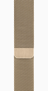Apple Watch Series 6 GPS + Cellular 44mm Gold Stainless Steel Case with Gold Milanese Loop (M07P3, M09G3)
