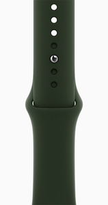 Apple Watch Series 6 GPS + Cellular 44mm Gold Stainless Steel Case with Cyprus Green Sport Band (M07N3, M09F3)