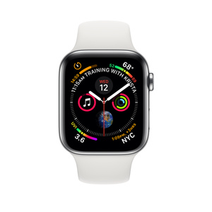 apple watch series 4 stainless steel price