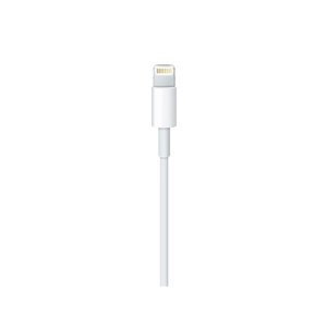 iPhone USB Lightning Cable- Single