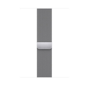 45mm Silver Milanese Loop Apple