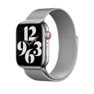 45mm Silver Milanese Loop - Apple