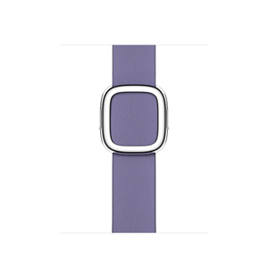 Apple Watch Modern Buckle