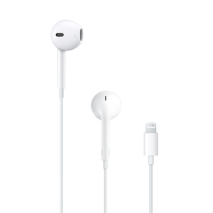 apple earphones