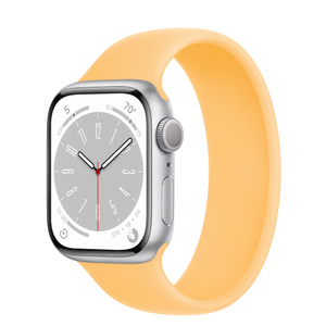 Silver Aluminum Case with Solo Loop - Sunglow, 1