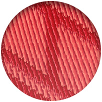 Rose Texas/Rouge Piment