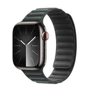 Apple Watch Series 9 GPS + Cellular, 41mm Graphite Stainless Steel Case with Evergreen Magnetic Link - S/M