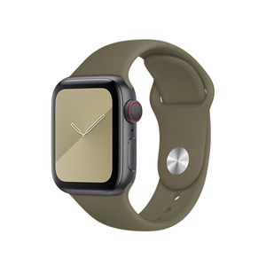 apple watch khaki