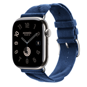 Buy Apple Watch Hermès Series 10 GPS + Cellular, 46mm Silver  