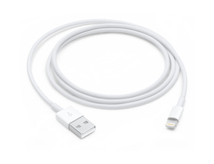 Apple Lightning to USB Cable (1m)