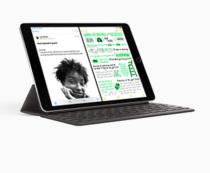 Buy 10.2-inch iPad Wi‑Fi 64GB - Space Grey - Apple (CA)