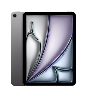 Buy 13-inch iPad Air Wi-Fi 256GB - Space Gray - Education - Apple