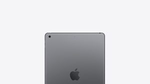 Buy 10.2-inch iPad Wi‑Fi 256GB - Space Gray - Apple