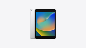 Buy 10.2-inch iPad Wi‑Fi + Cellular 64GB - Silver - Apple