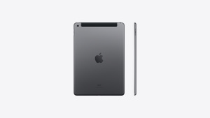 Buy 10.2-inch iPad Wi‑Fi + Cellular 256GB - Space Gray - Apple