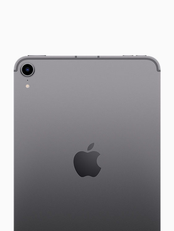 Buy iPad mini Wi‑Fi + Cellular 256GB - Space Grey - Apple (CA)