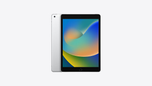 Buy 10.2-inch iPad Wi‑Fi + Cellular 64GB - Silver - Apple
