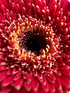 Apple Iphone 13 Pro Max Price In Pakistan Homeshopping