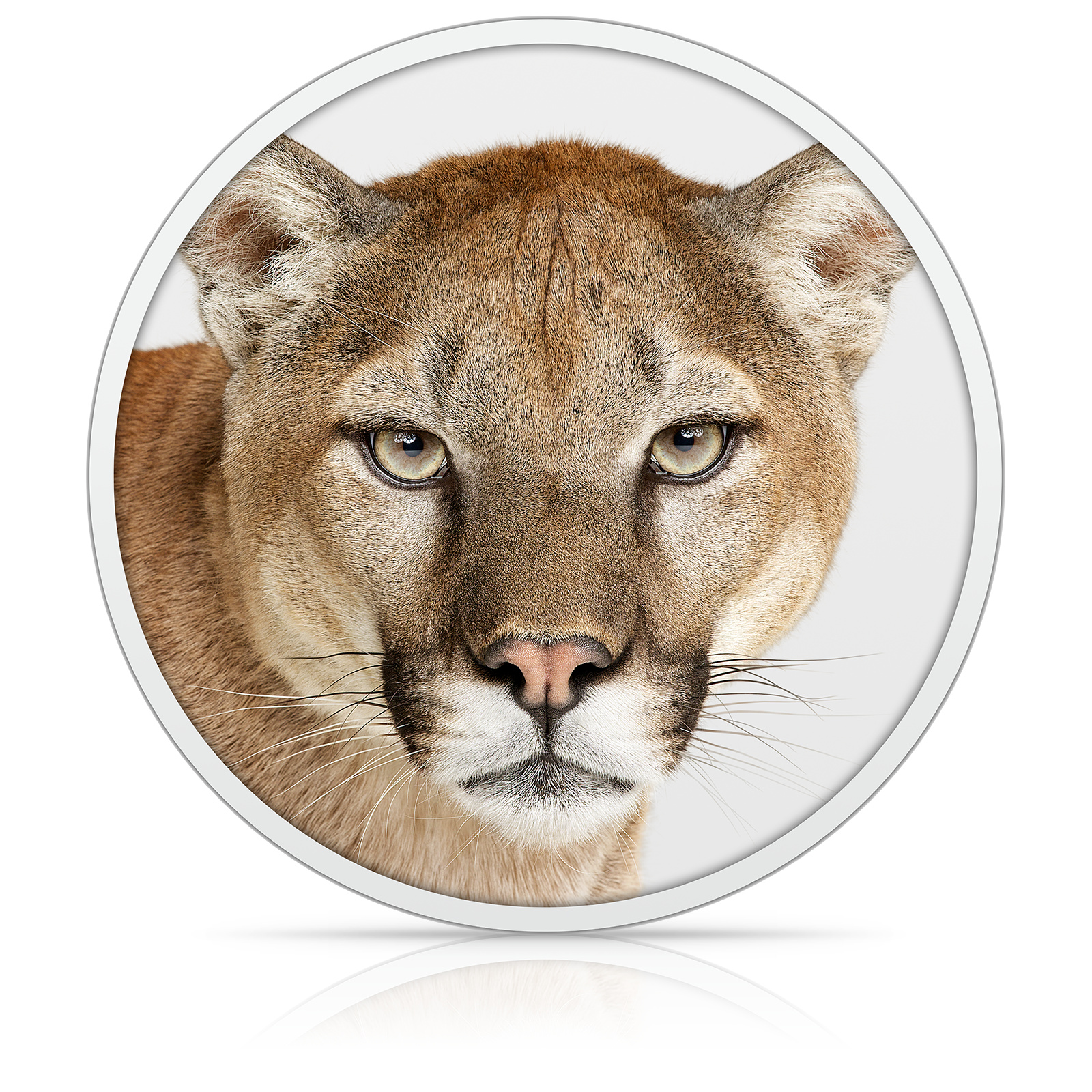 best programs for mac lion