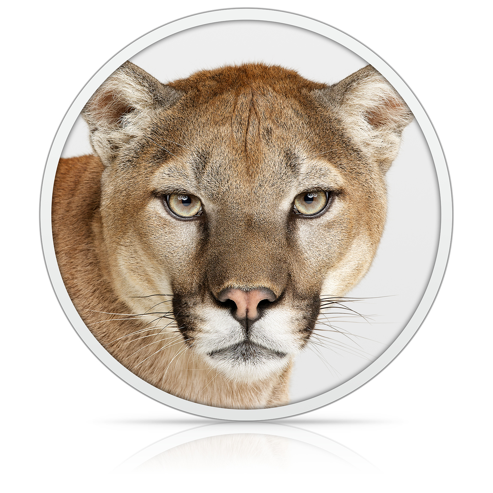 download mac os x lion para pendrive bootavel pelo windows