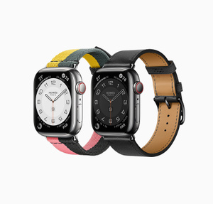 Shop Apple Watch Hermès - Apple (CA)