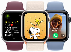 apple watch hermès strap only