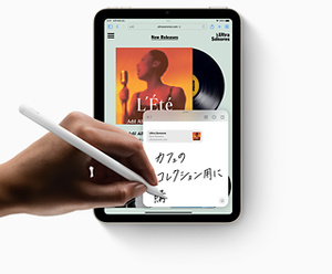 iPad mini金利0%の分割払い Apple（日本）