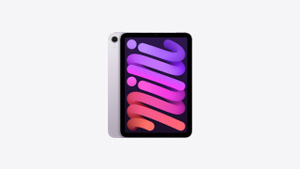 ipad-mini-finish-select- 