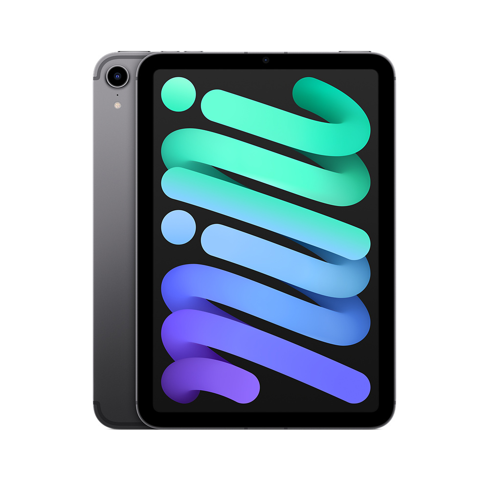 iPad mini Wi‑Fi + Cellularモデル 256GB - スペースグレイ