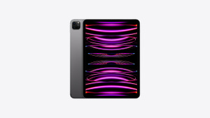 レトロマッチラベル 北欧デザイン 鳥 iPad Pro 11インチ第4世代 256GB Wi-Fi+Cellular 通販 アップル『iPad Pro 11インチ 第4世代 Wi-Fi Cellular 256GB SIMフリー シルバー』MNYF3J A 2022年 タブレット 1週間保証