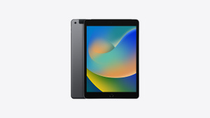 10.2インチiPad Wi‑Fi + Cellularモデル 256GB - スペースグレイを購入