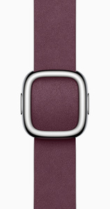 Apple Watch Series 9 (GPS + Cellularモ‍デ‍ル) - 41mmシルバー 