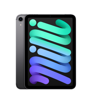 【86%OFF!】 iPad mini6 Wi-Fi+Cellular 256GB agapeeurope.org