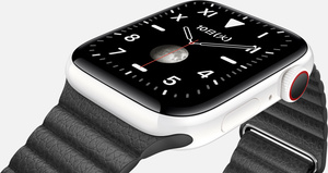 Apple Watch Editionを購入 - Apple（日本）