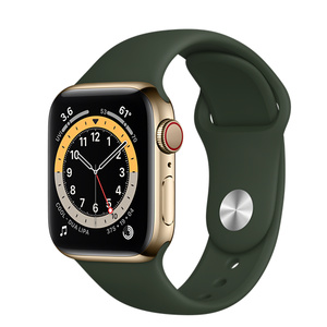 翻新apple watch series 6 (gps   蜂窝网络);40 毫米金色不锈钢表壳