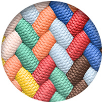 프라이드 에디션