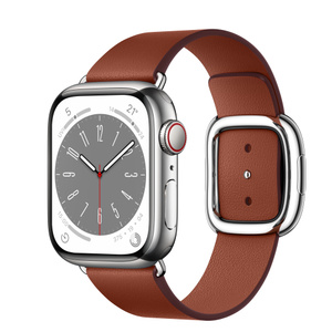 Apple Watch Series 8 Gps 蜂窝网络 41 毫米银色不锈钢表壳 赭红色现代风扣式表带 小号 Apple 中国大陆