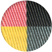 로즈 아잘레/누아