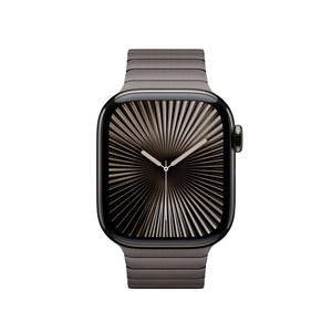 42-mm Slate Link Bracelet - Apple (NZ)