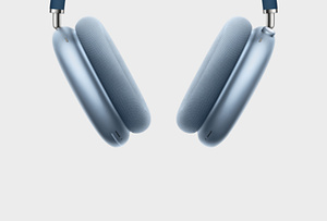 AirPods Max — Silver Apple (NZ)