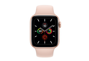 echelon and apple watch