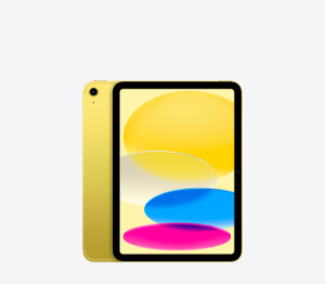 iPad 的正面和背面