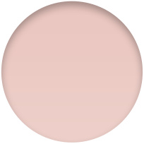 Buy Ipad Air Apple Sg