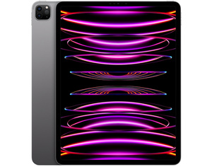 太空灰色 iPad Pro 12.9 吋的正面與背面。